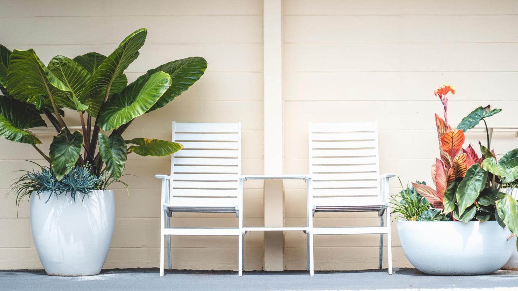 South Seas Motel Merimbula Luaran gambar